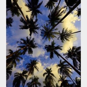 Meet your Posher, Meek